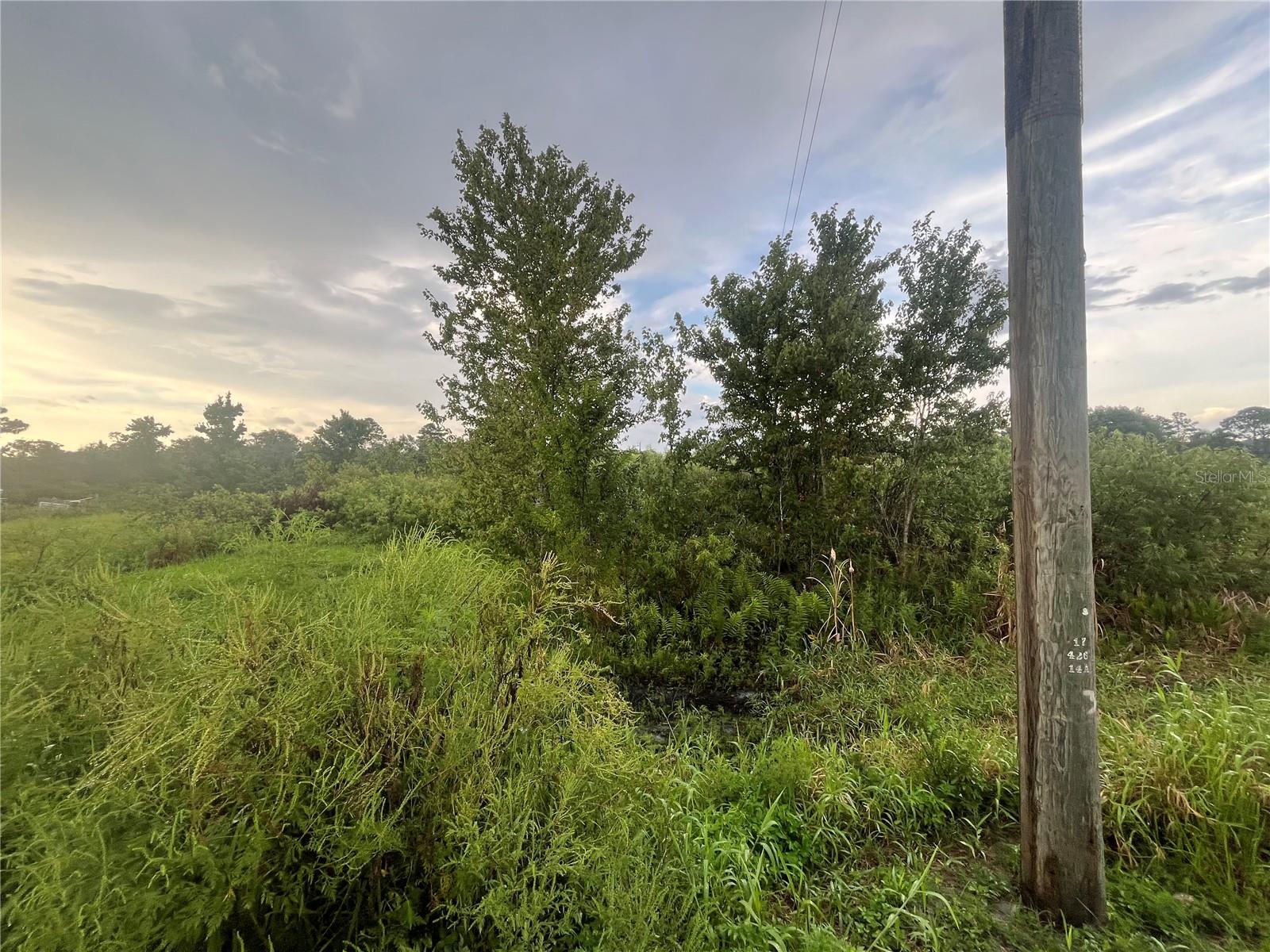 CENTRAL ACRES SEC 1 - Land