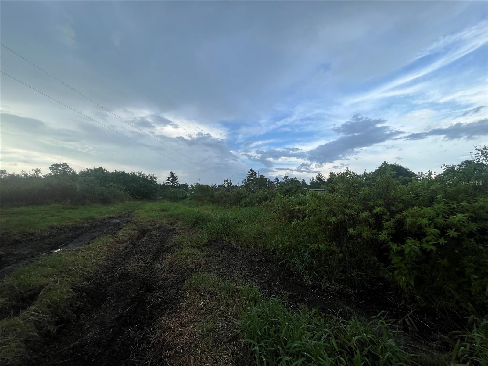 CENTRAL ACRES SEC 1 - Land