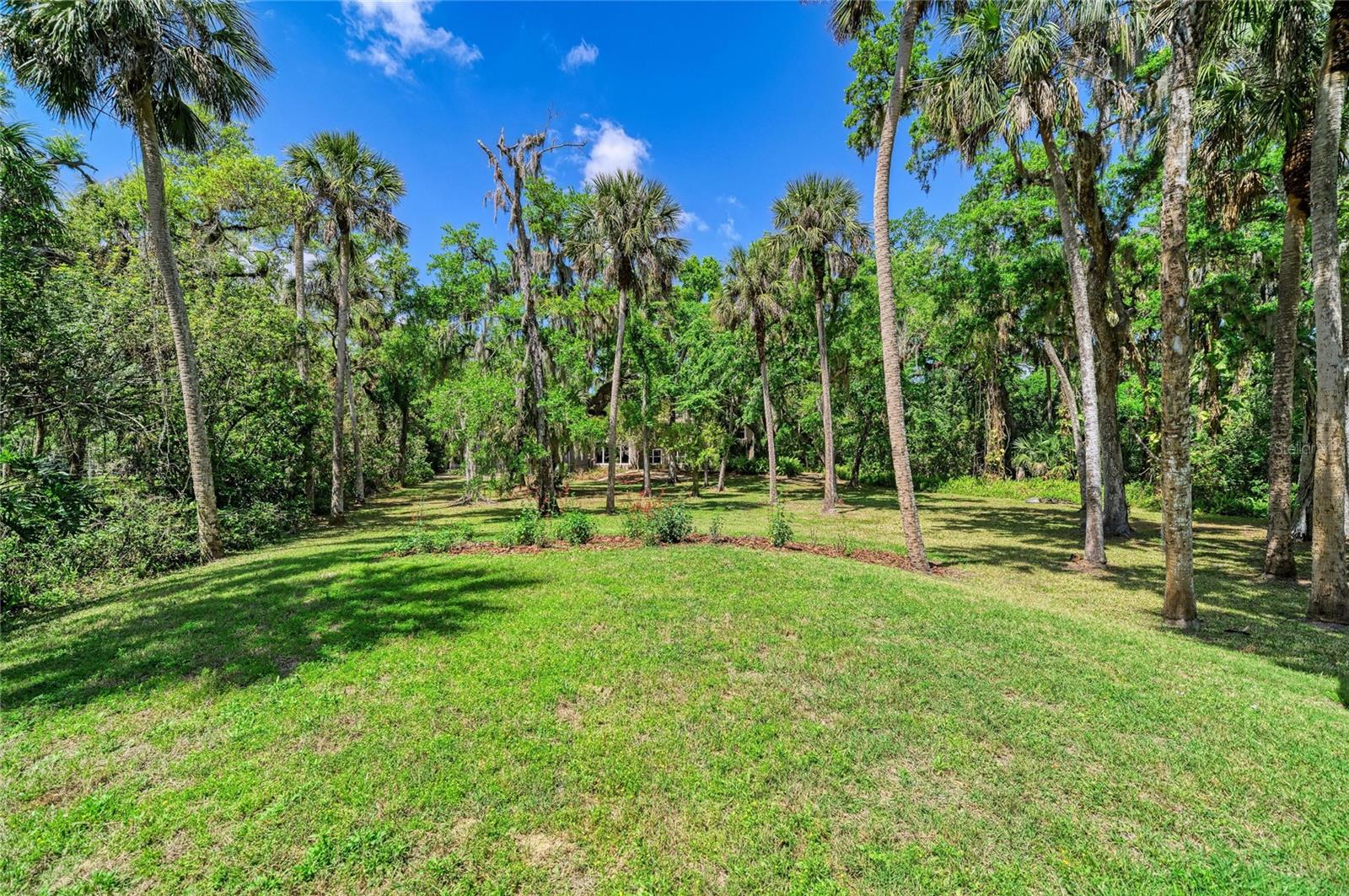 BRADEN OAKS - Residential