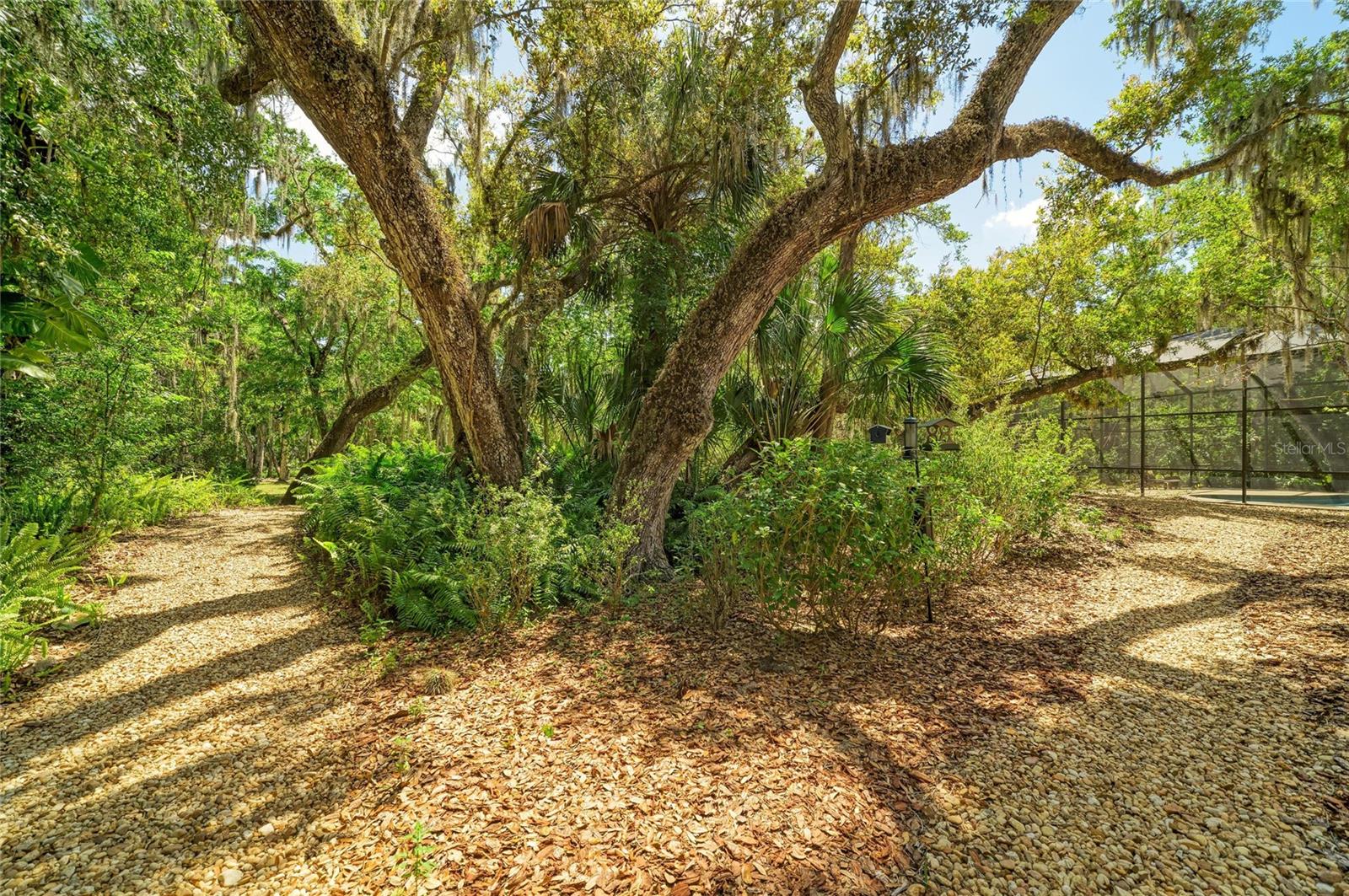 BRADEN OAKS - Residential