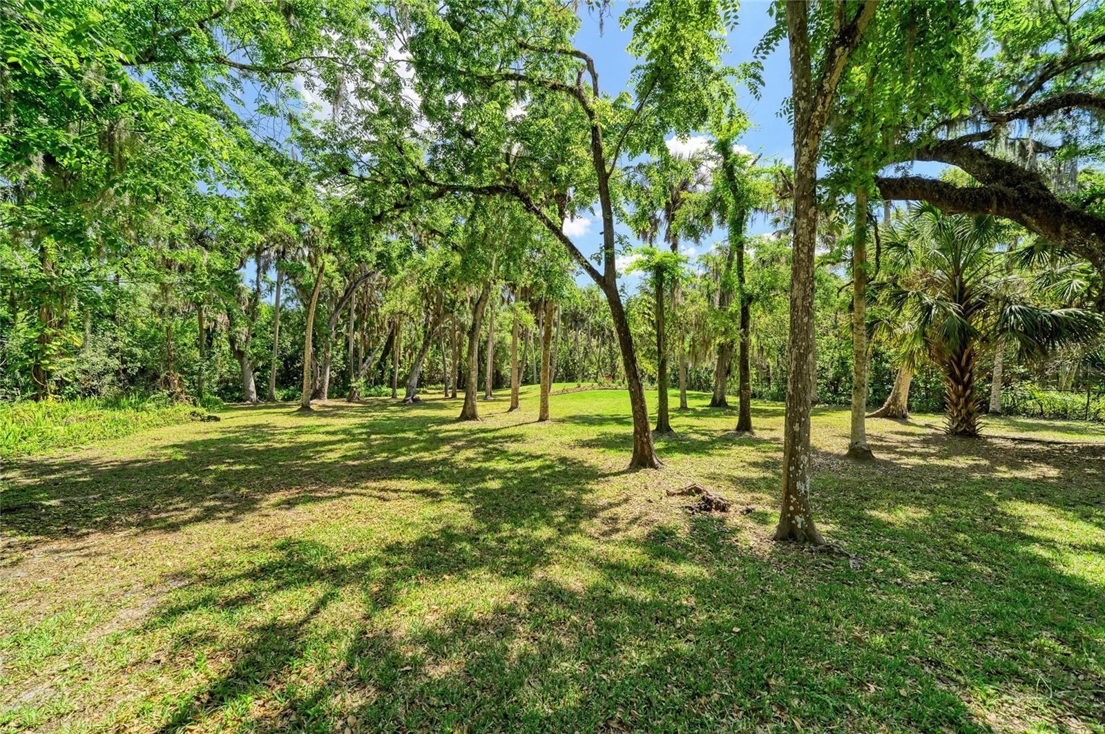 BRADEN OAKS - Residential