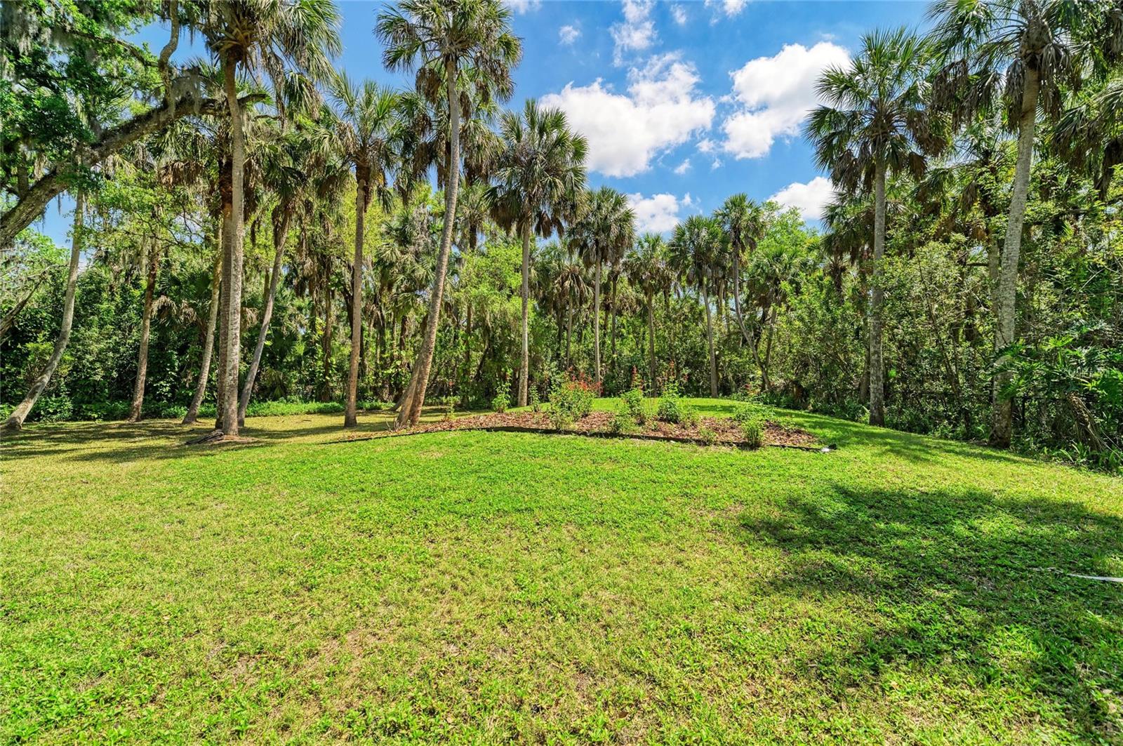 BRADEN OAKS - Residential