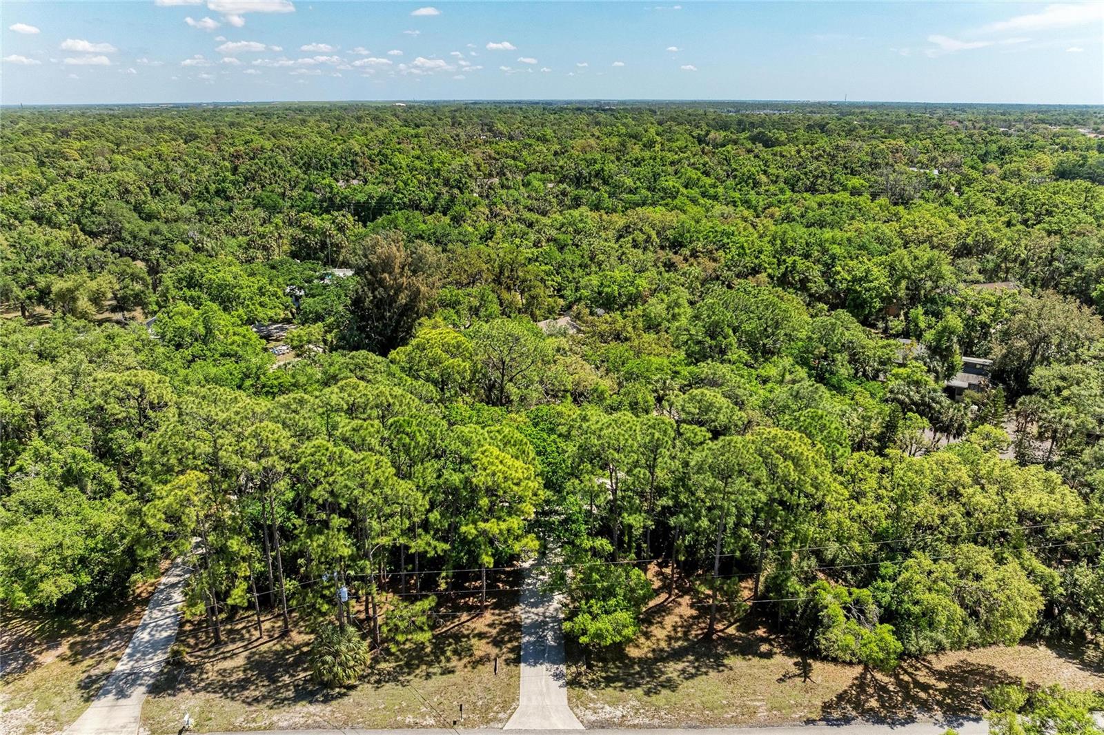 BRADEN OAKS - Residential