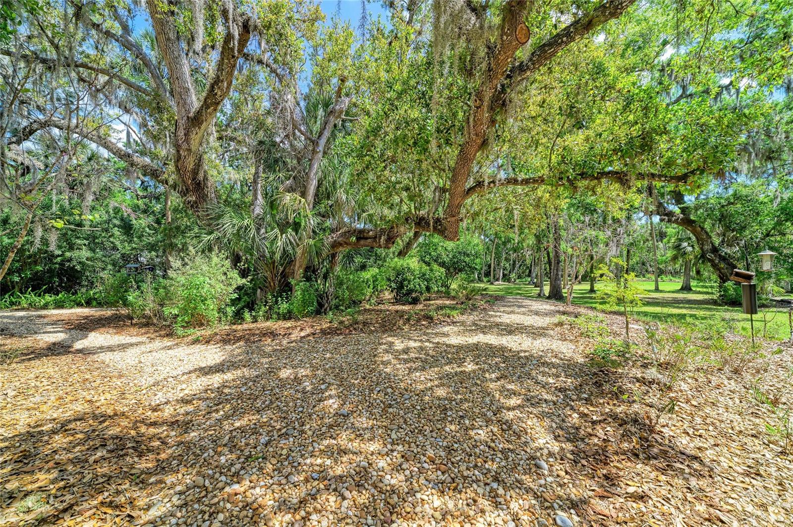 BRADEN OAKS - Residential