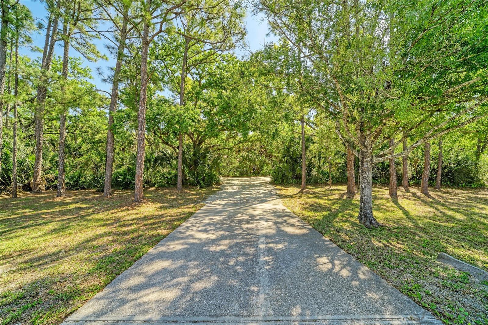 BRADEN OAKS - Residential