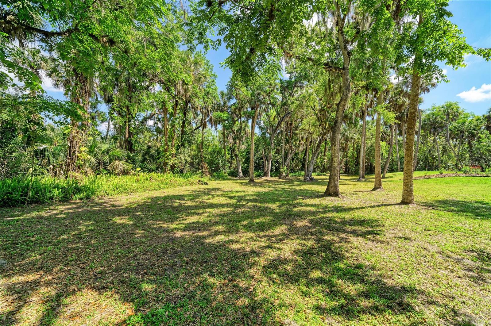 BRADEN OAKS - Residential