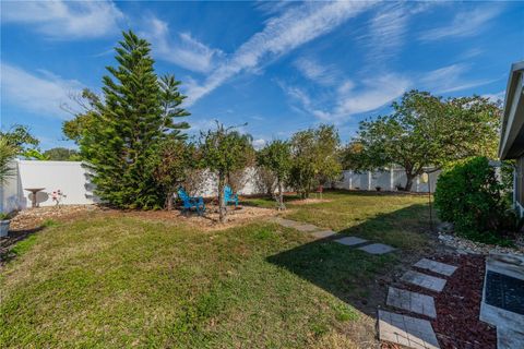 A home in APOLLO BEACH