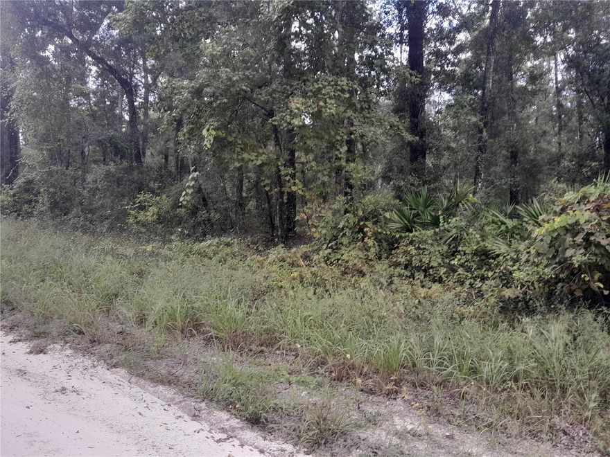 5.09 ACRES IN HICKORY HAMMOCK WOODED LOT WITH PINES AND BEAUTIFUL OAK TREES.  
Site built or manufactured homes allowed. Have a healthy garden horses, goats etc. Welcome to the country life. Fresh air and calm serenity await you. Dimensions are from property appraiser site 105.4 x 185.6 181.7 x 102.9 please do your own do diligence.  High and Dry, No HOA and No time limits to build.  Call today!