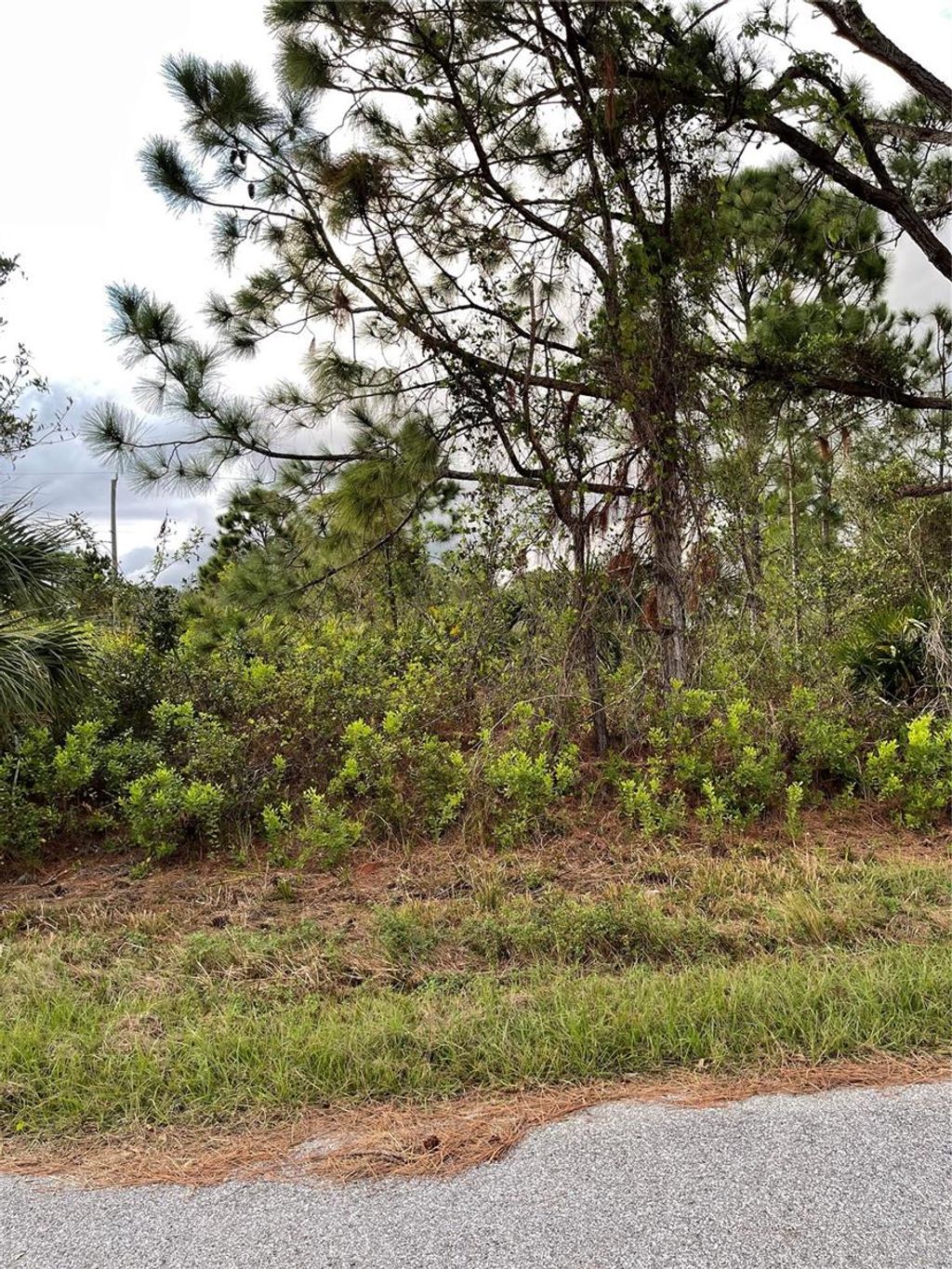Photo of Cordova Terrace, North Port, FL 34291 (MLS # N6135655)