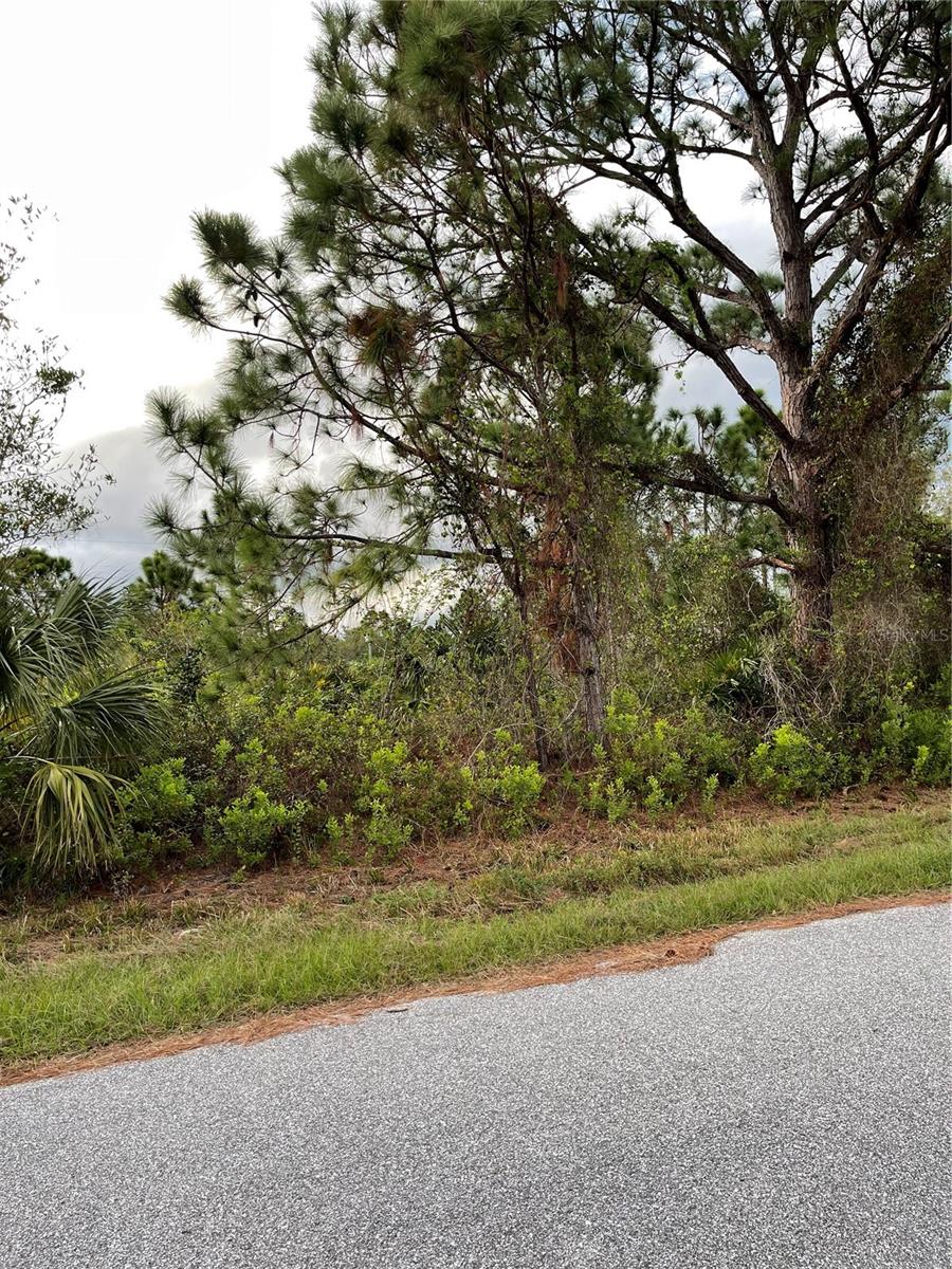 City water! Build the home you want and need. The neighborhood is growing with many custom homes close by. Available 80' x 125' Cordova Terrace vacant lot backs up to Duar Terrace vacant lot which is also available. Duar lot is lot 19. Cordova lot is lot 14. Either lot is available priced separately. This is a quiet convenient location with access to city amenities in North Port, Wellen Park, Venice and Port Charlotte. Schools are not far. Also convenient I-75 makes traveling to airports in Tampa, Sarasota, Punta Gorda and Ft Meyers an easy trip. The Gulf is about 30 minutes offering beautiful beaches, boating and fishing. With no HOA fees and a large lot in X flood zone (requiring no flood insurance), this property is sure to please. Coordinates: 27.083(lat) -82.241(lon) Scrub Jay Lot. Please refer to https://www.northportfl.gov/Building-Planning/Natural-Resources/Wildlife-Preservation/Scrub-Jay.