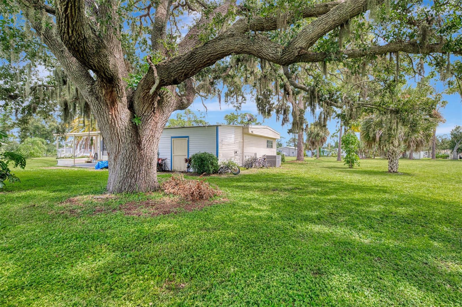 HOLIDAY PARK - Residential