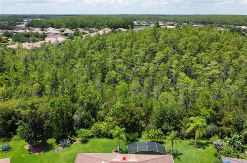 A home in KISSIMMEE