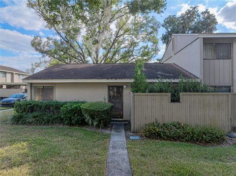 A home in TEMPLE TERRACE