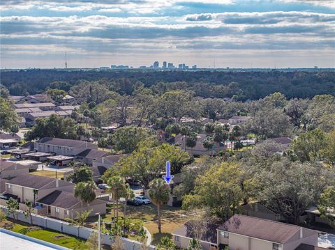 A home in TEMPLE TERRACE