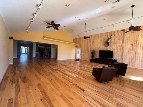 A home in WAUCHULA