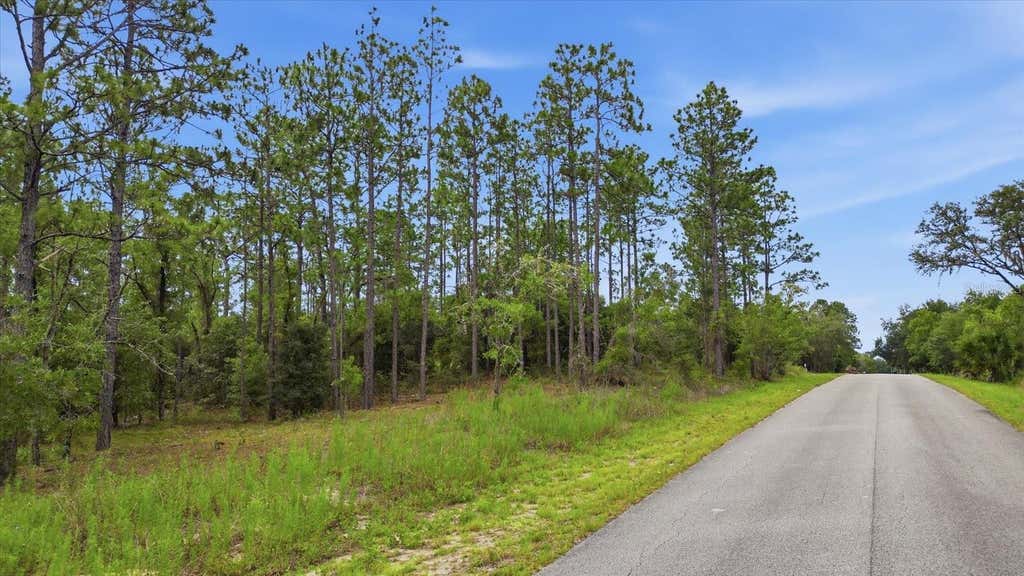 Photo of 0000 SW Sands Point Ave Lot 38, Dunnellon, FL 34431 (MLS # TB8521954)