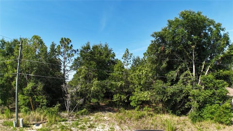 Tiny photo for Bahia Court Track, Ocala, FL 34472 (MLS # O6420209)