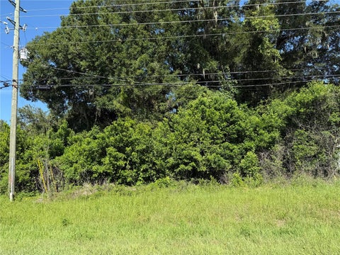 Tiny photo for Bahia Court Track, Ocala, FL 34472 (MLS # O6420209)