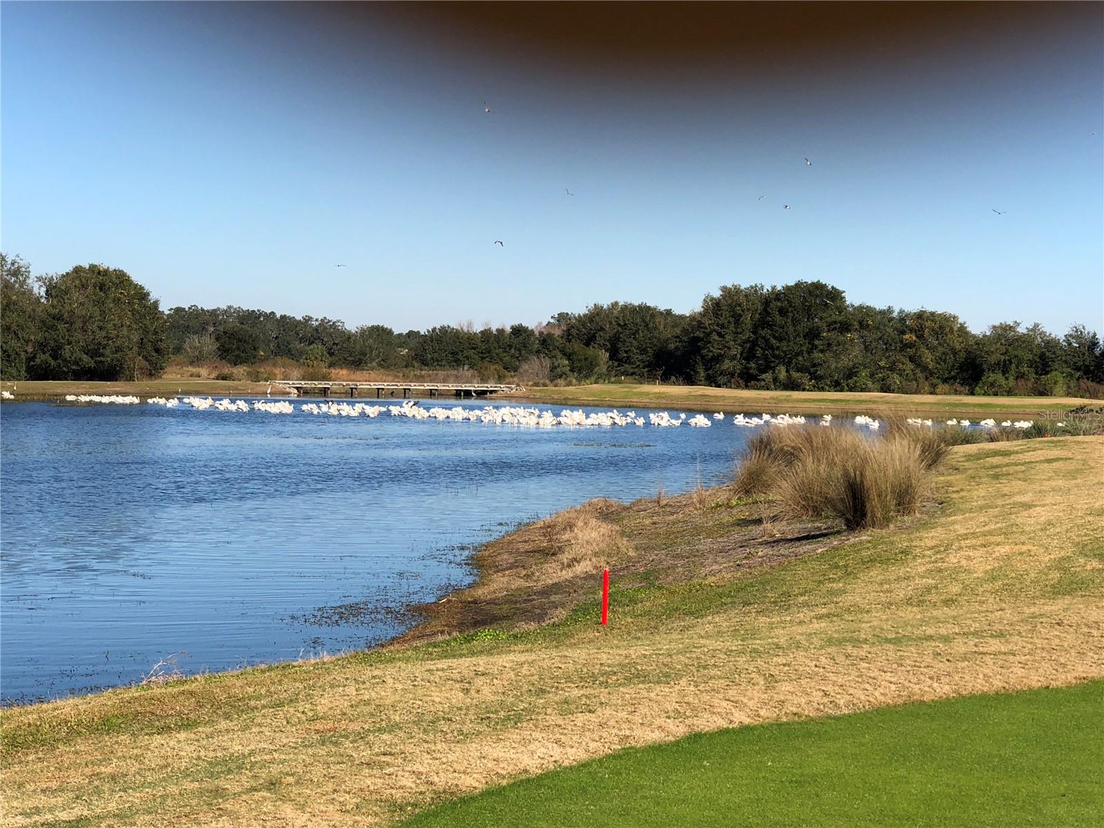 VILLAGES/SUMTER - Residential