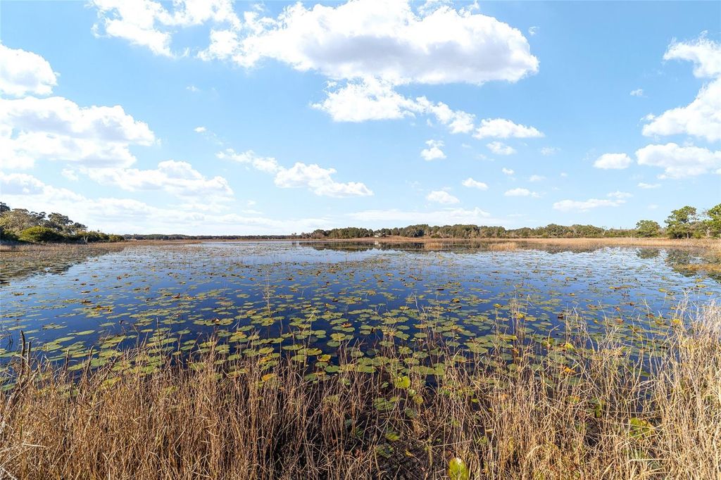 Photo of 11592 SE 101st Court Rd, Belleview, FL 34420 (MLS # G5107813)