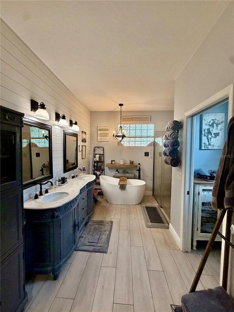 Tiny photo for 2040 Park Forest Boulevard, Mount Dora, FL 32757 (MLS # G5110050)
