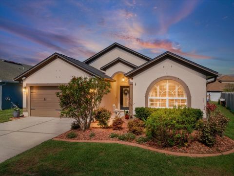 Photo of 16729 Fairbolt Way, Odessa, FL 33556 (MLS # W7883988)