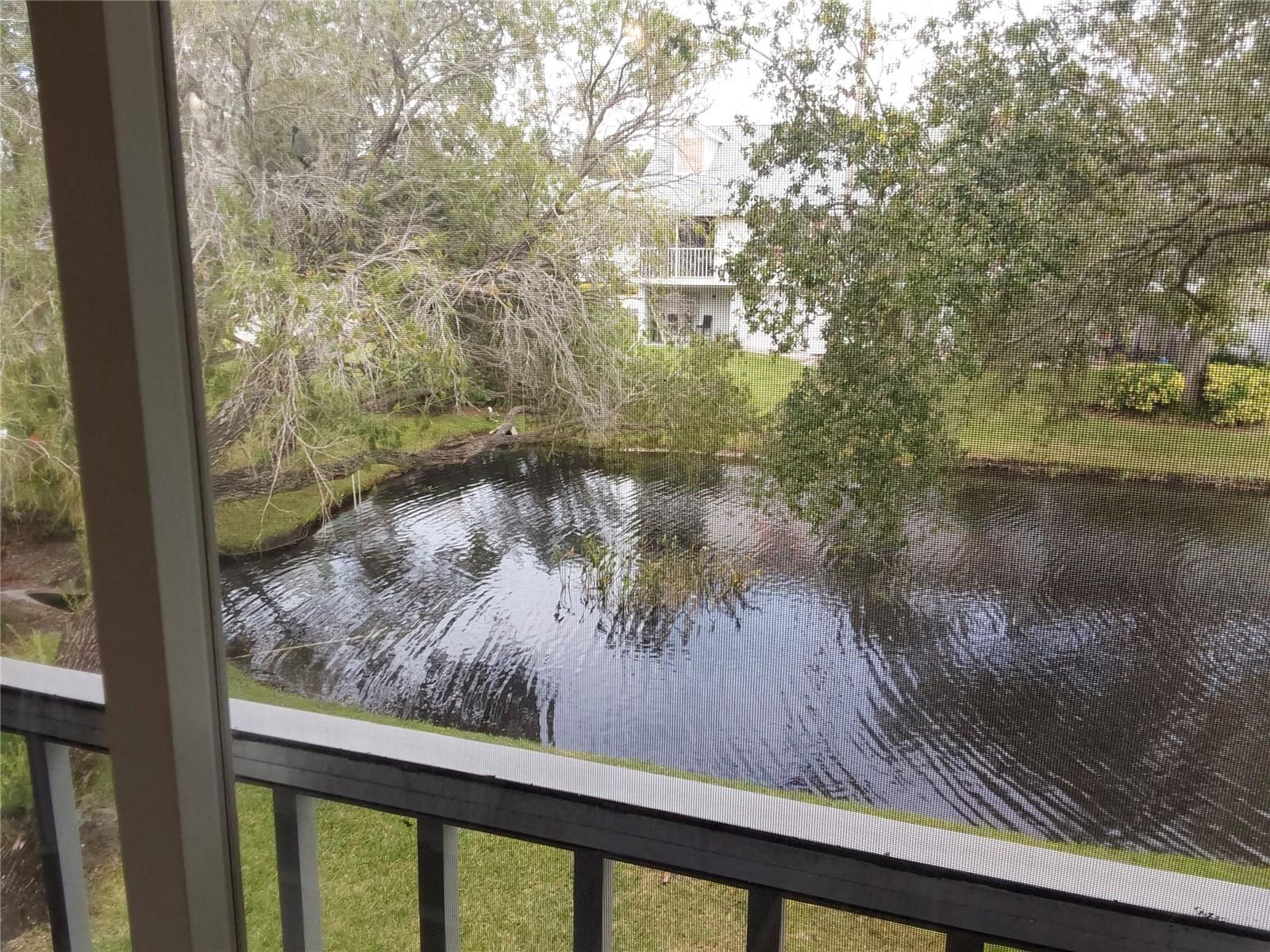 SUN KETCH CONDO - Residential Lease