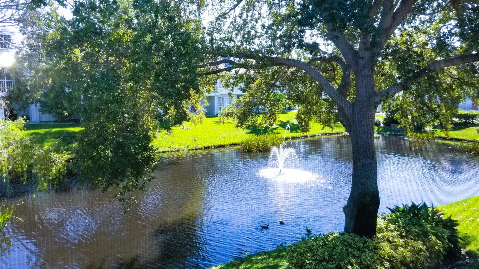 SUN KETCH CONDO - Residential Lease