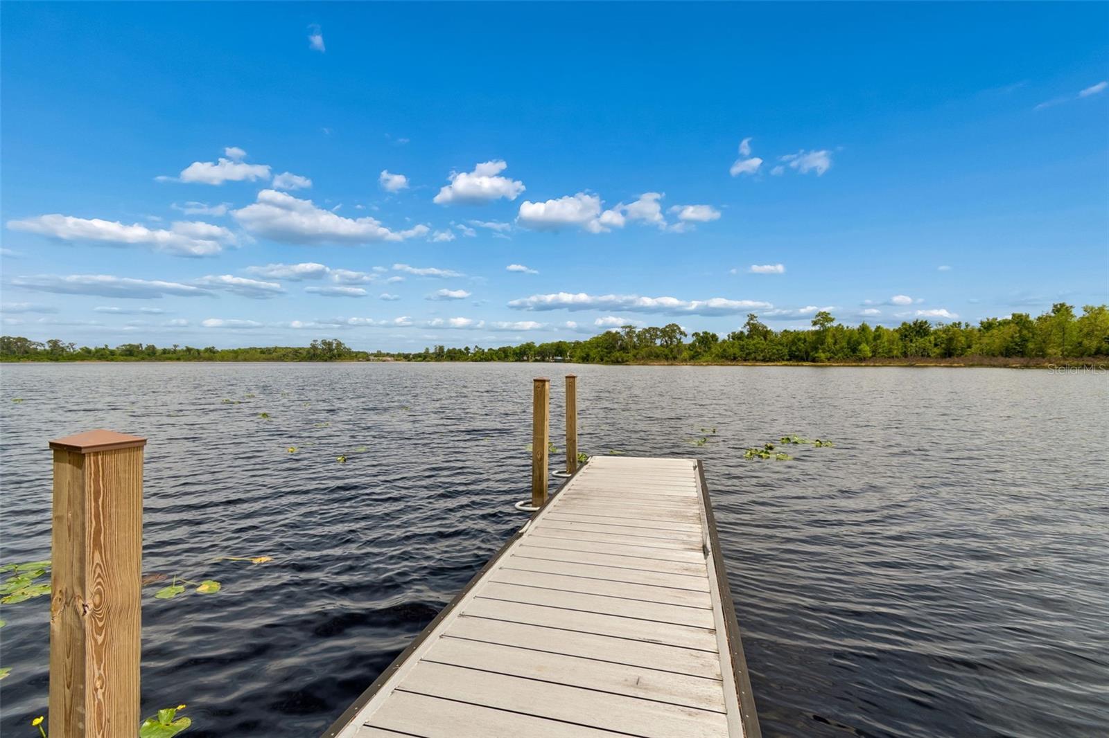 ROYAL CYPRESS PRESERVE-PH 4 - Residential