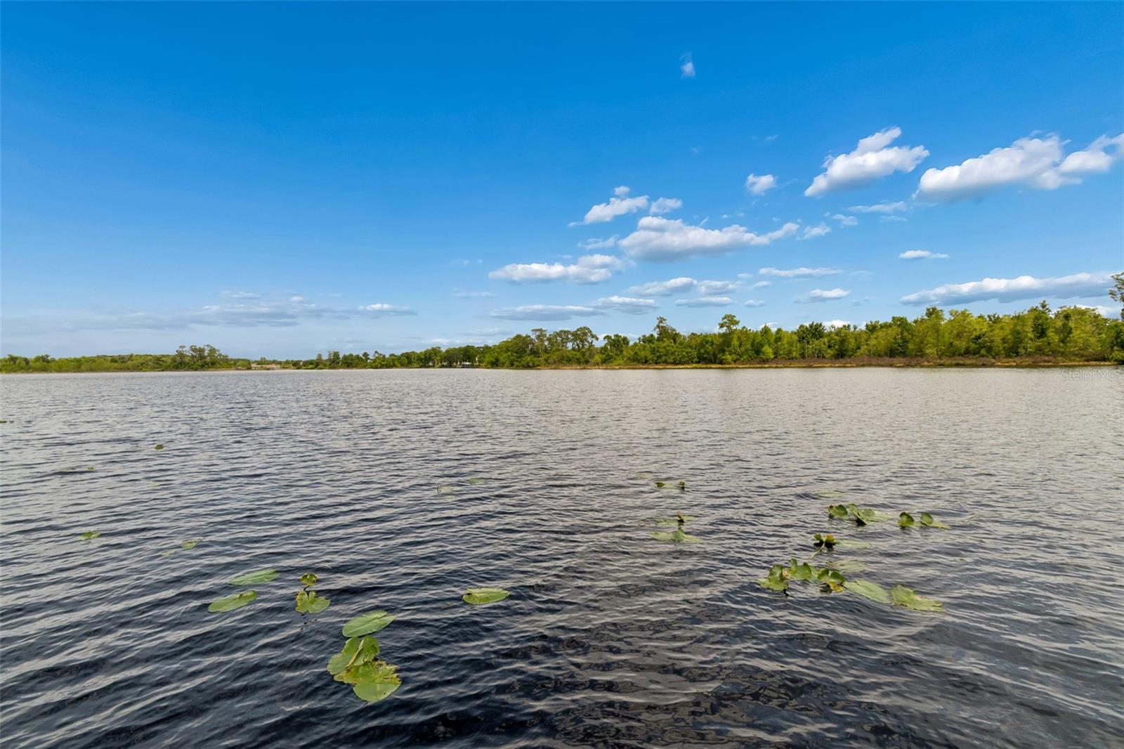 ROYAL CYPRESS PRESERVE-PH 4 - Residential