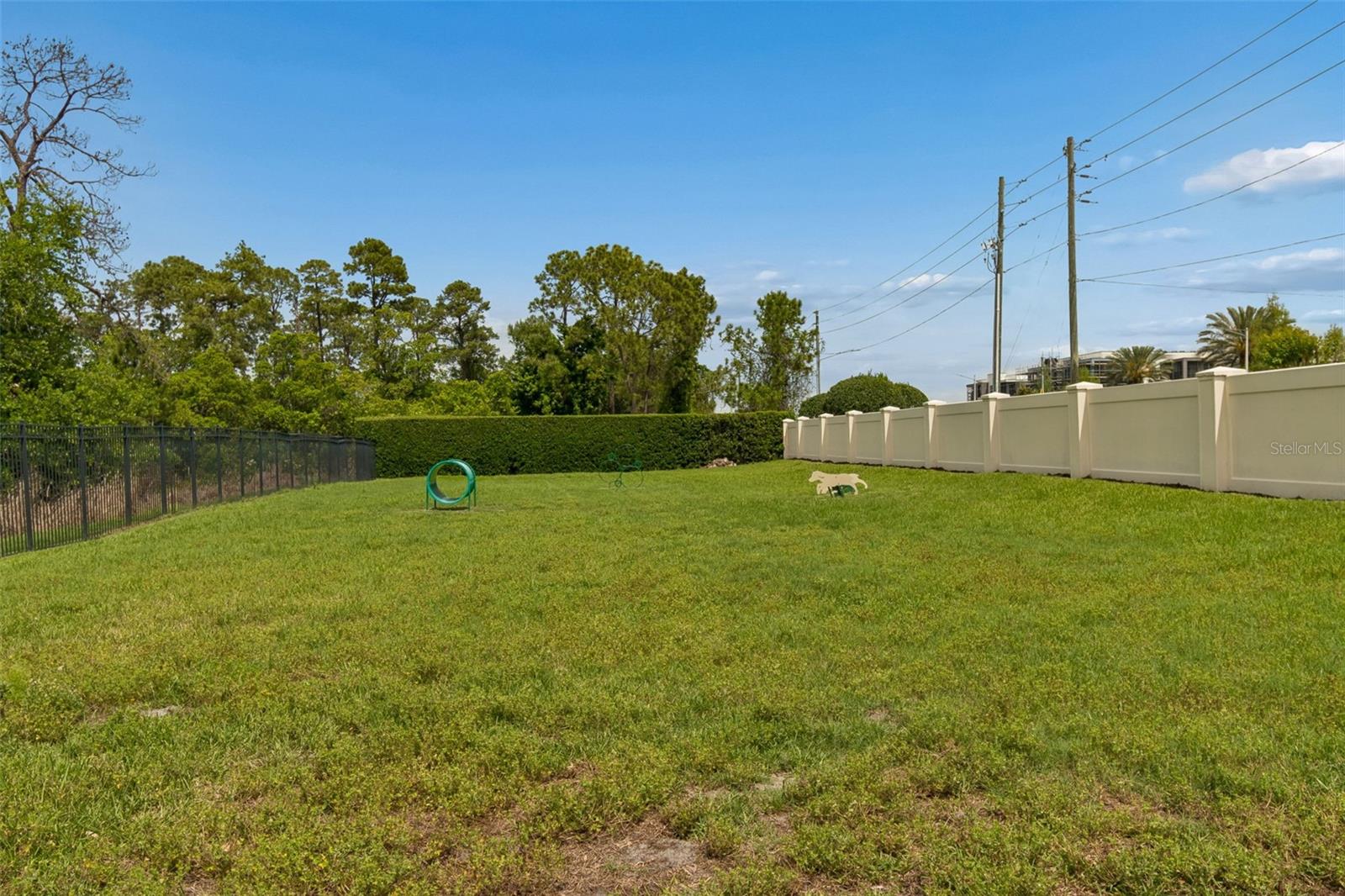 ROYAL CYPRESS PRESERVE-PH 4 - Residential