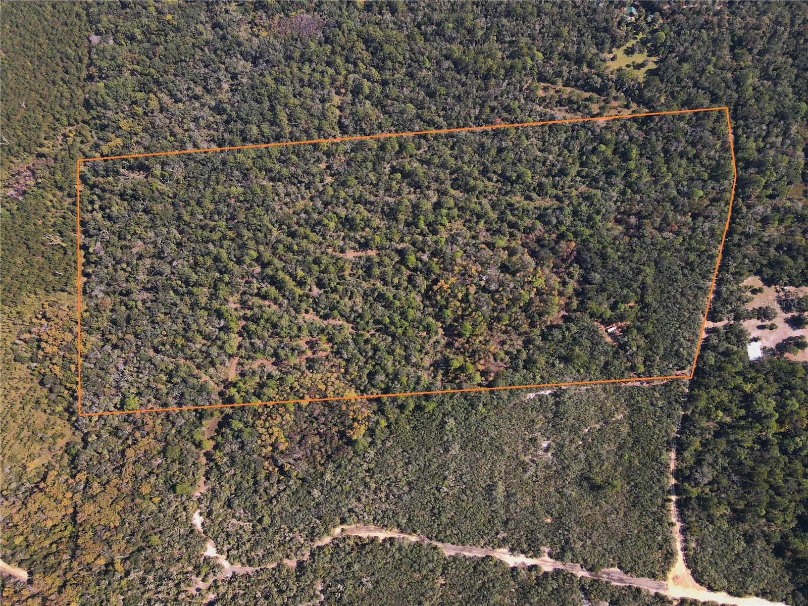 Prime Hunting Land on Tiger Island in Cedar Key! This 38-acre trac of land is strategically located up against 50,000 acres of timberland and the lower Suwannee wildlife refuge. Tiger Island is a 7,000 acre sportsman hunting & recreational community with gated entries, and each owner is given a key that unlocks both the Buck Trail (North) entrance & Clayton Road (South) entrance.  This community provides outstanding recreational & hunting opportunities.  LOADED WITH DEER, TURKEY, WILD HOG, BEAR, & OTHER Wildlife!  Just minutes to Fowlers Bluff boat ramp & Treasure Camp Restaurant on the Suwannee River, minutes to Shell Mound.  Short drive to Historic Cedar Key fishing village, offering waterside dinning on the Gulf of America, boat ramps for saltwater fishing, Beach area for family swimming w/adjacent park, walk along the boardwalk on the Gulf, explore the small town shops, visit the small airplane Airport, participate in public dock fishing, all providing that fishing community experience! Only 20 minutes to Chiefland w/ Walmart, restaurants, shopping, & local springs. This is a must see!  Appointment Only Viewing!