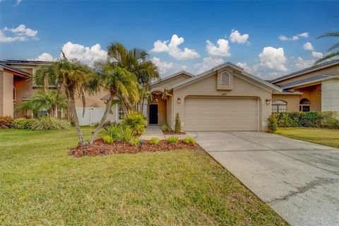 11607 BRANCH MOORING DRIVE TAMPA FL 33635