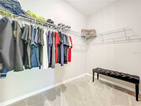 Tiny photo for 2174 Gold Dust Drive, Minneola, FL 34715 (MLS # O6389348)