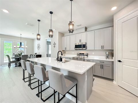 Tiny photo for 2174 Gold Dust Drive, Minneola, FL 34715 (MLS # O6389348)