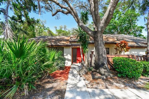 2953 YUCCA COURT PALM HARBOR FL 34684
