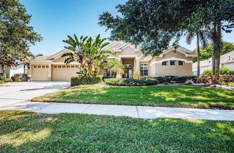 A home in PALM HARBOR