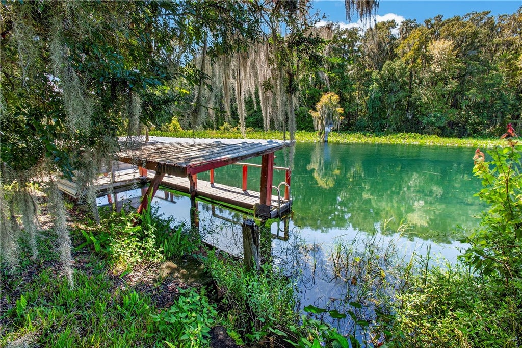 Photo of 12180 Maple Street, Dunnellon, FL 34432 (MLS # TB8546995)