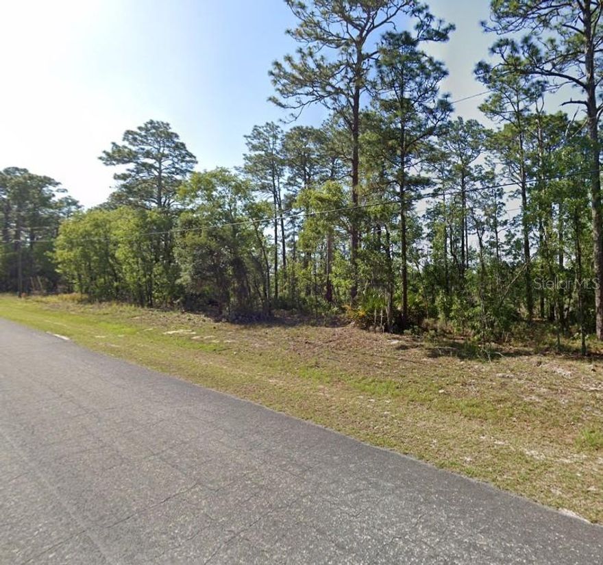 Discover the perfect opportunity to own a 0.23-acre homesite in Citrus Springs, Florida! This spacious lot is nestled in a quiet, growing community known for its natural beauty and relaxed lifestyle. With paved road access and plenty of room to build, it’s ideal for your future home, vacation getaway, or long-term investment.

Enjoy the convenience of nearby shopping, dining, schools, and outdoor recreation—including golf courses, parks, and the Withlacoochee State Trail. No HOA means more flexibility to design and build on your terms.

Whether you’re looking to build now or hold for the future, this property offers excellent potential at an affordable price. Don’t miss your chance to own land in one of Florida’s up-and-coming areas!