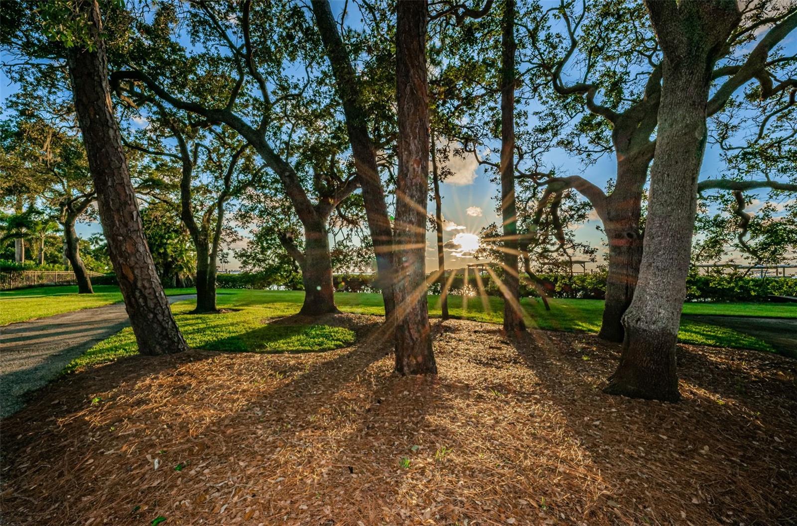 FUTRELLS SUB - Residential