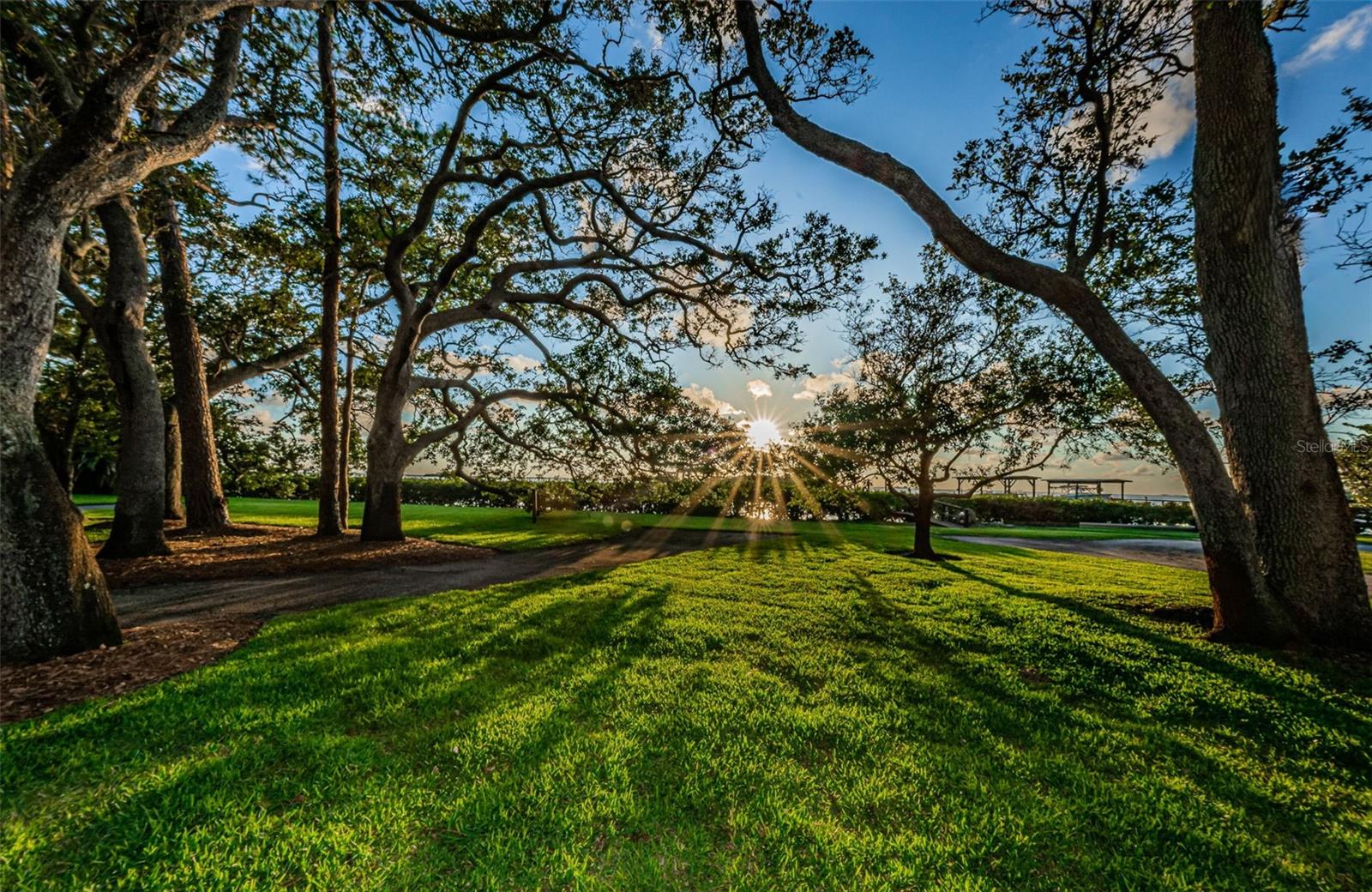 FUTRELLS SUB - Residential