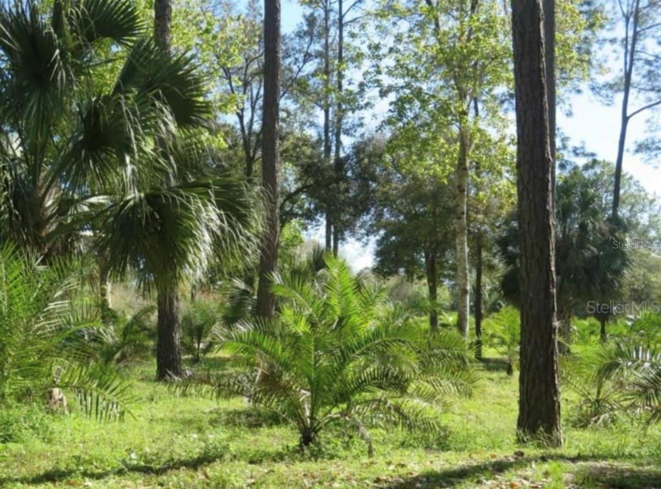 Prime Residential Lot for Investment and Construction
Fantastic opportunity to invest in vacant land ready for residential construction