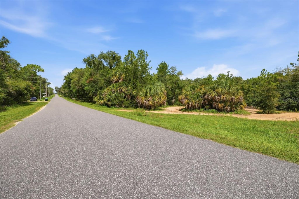 Photo of 1345 E Ray Street, Hernando, FL 34442 (MLS # TB8537411)
