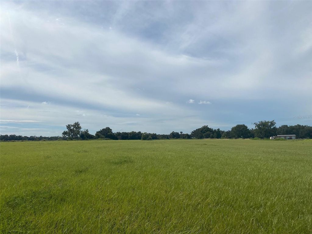 Photo of 2401 E Trapnell Road, Plant City, FL 33566 (MLS # TB8431461)