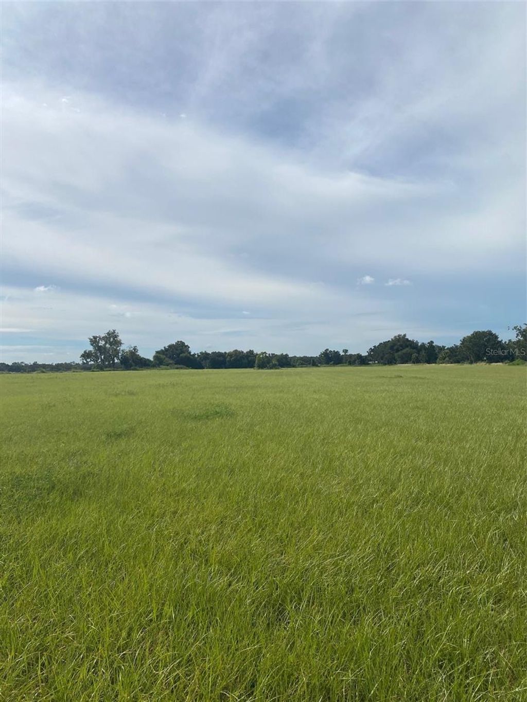 Photo of 2401 E Trapnell Road, Plant City, FL 33566 (MLS # TB8431461)