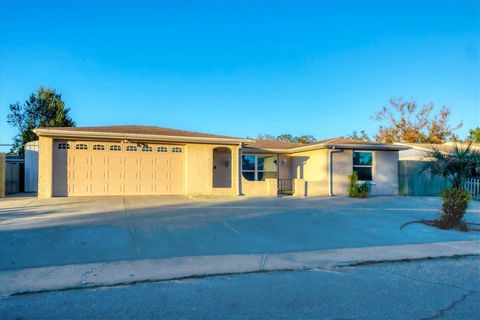 A home in PORT RICHEY