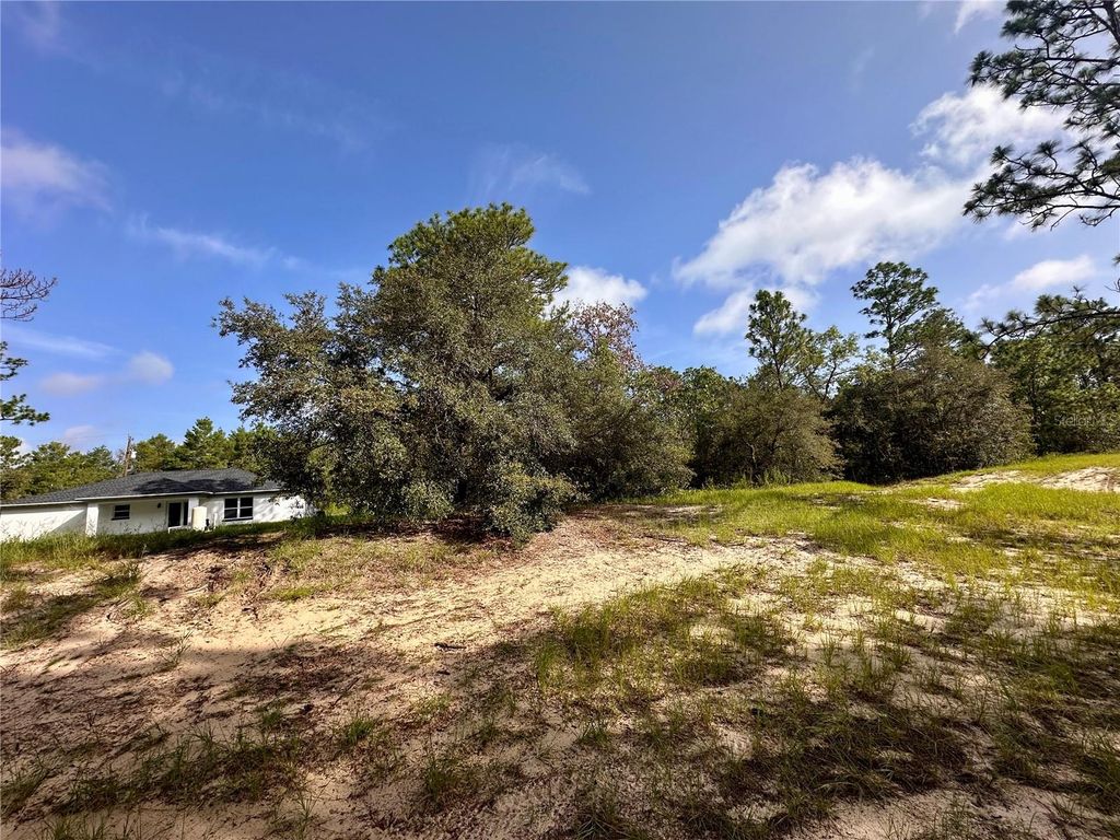 Photo of 0 Guava Pass, Ocklawaha, FL 32179 (MLS # OM693534)