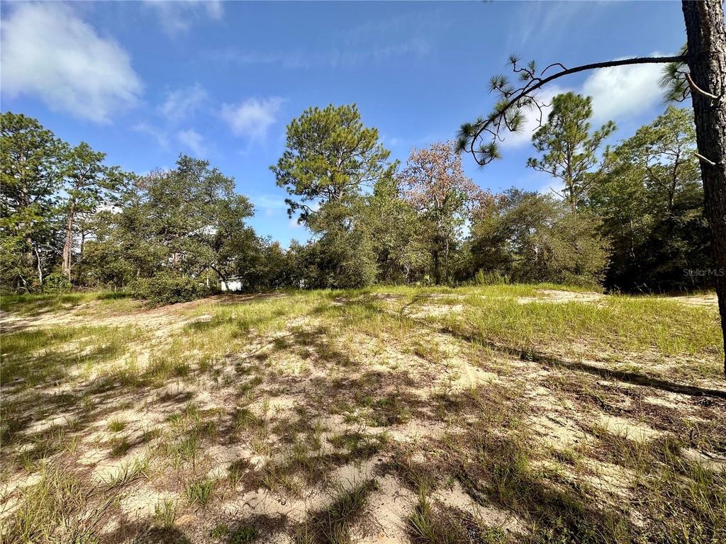Photo of 0 Guava Pass, Ocklawaha, FL 32179 (MLS # OM693534)