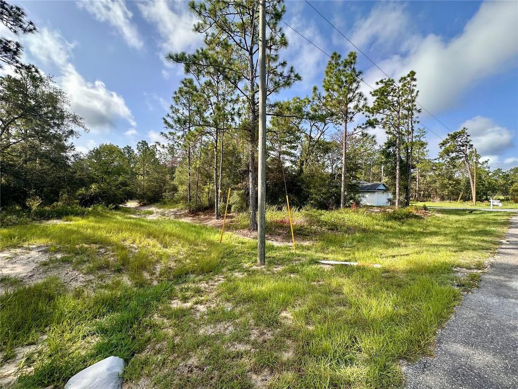 Photo of 0 Guava Pass, Ocklawaha, FL 32179 (MLS # OM693534)