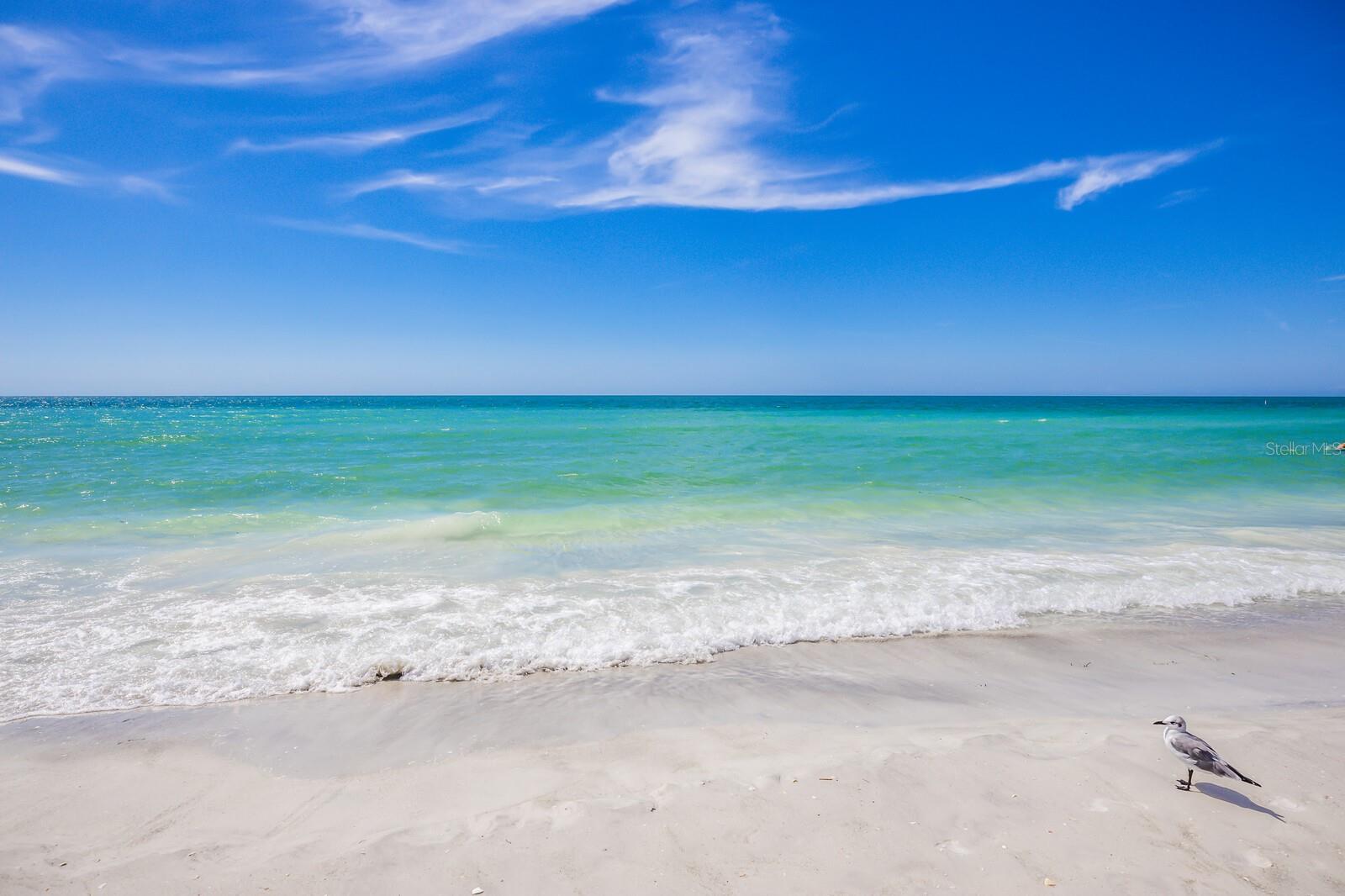 SAINT ARMANDS DIV JOHN RINGLING ESTATES - Land